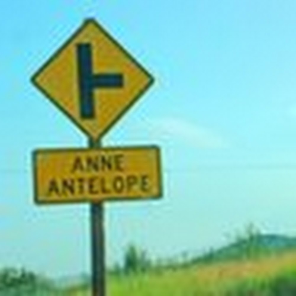 Meet your Posher, Anne